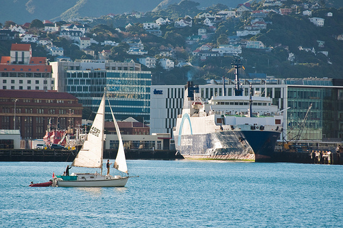 Wellington travel guide