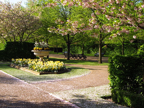 Regent's Park trip planner